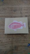 魚がパタパタします。