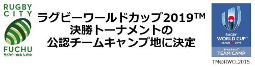 画像　決勝トーナメントの公認チームキャンプ地に決定