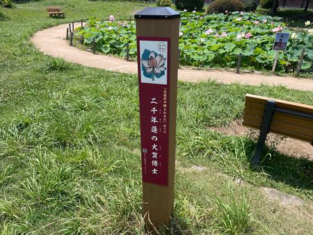 画像　「寿中央公園 ひょうたん池」の「武蔵府中郷土かるた」めぐり標柱