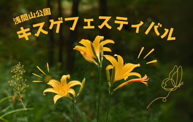 浅間山公園　キスゲフェスティバルの画像