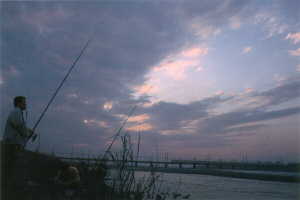 画像　つり人に夕陽がのびる晩秋の多摩川