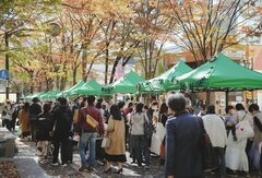 けやき並木通り