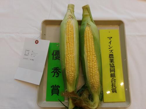 とうもろこし