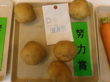 ばれいしょ