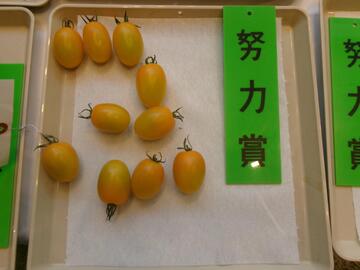 ミニトマト