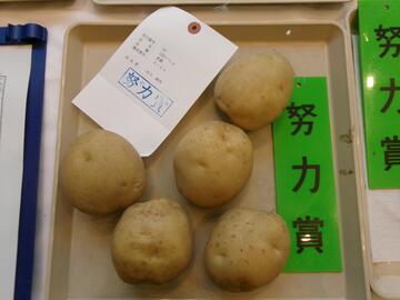 ばれいしょ