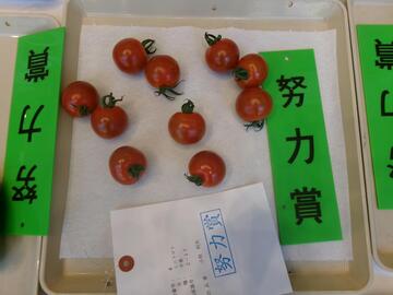 ミニトマト