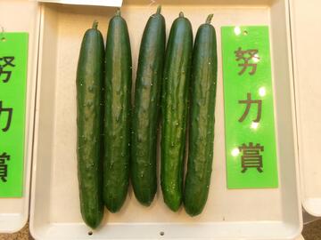 きゅうり