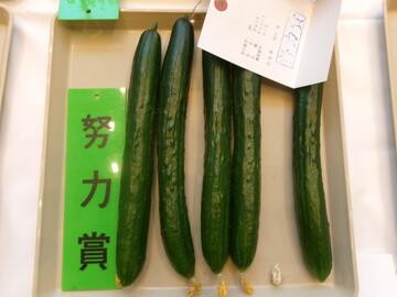 きゅうり