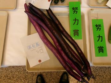 なす