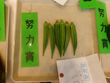 オクラ