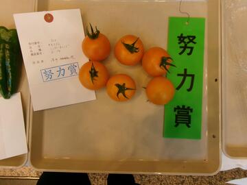 中玉トマト