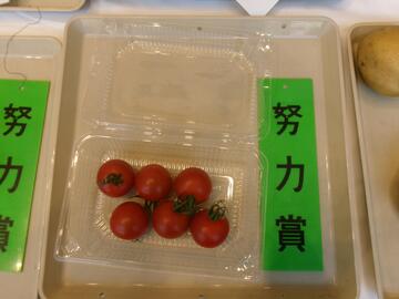 中玉トマト