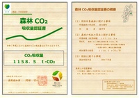 画像　森林CO2吸収量認証書
