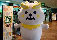 きょうちゃん