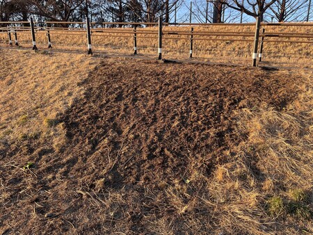 郷土の森公園バーベキュー場火災2