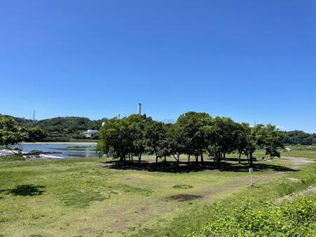 郷土の森公園バーベキュー場外観1