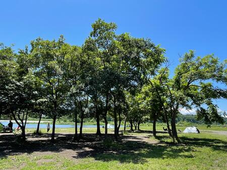 郷土の森公園バーベキュー場外観3