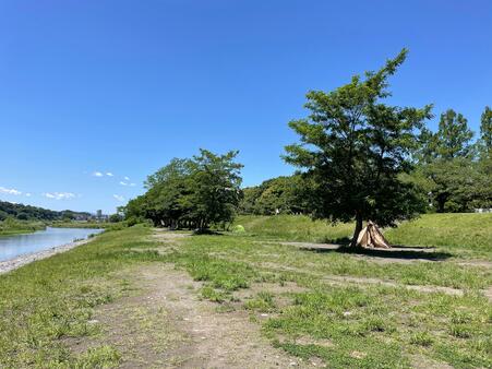 郷土の森公園バーベキュー場外観6