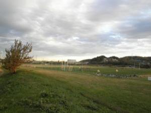 画像　サッカー場の全景