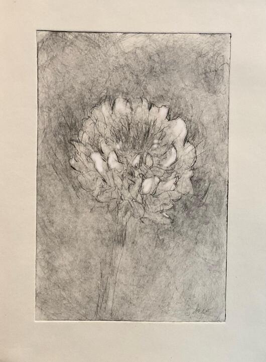 画像 参考作品
