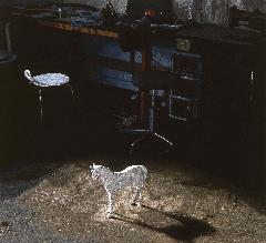 画像　青山悟作品「White horse in the studio」 