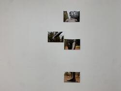 府中の森公園の中にある彫刻を部分的に撮った写真が壁に並べられている