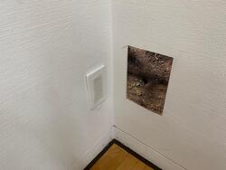 巾木の上に貼られた木の幹の写真