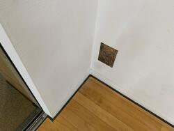 巾木の上に貼られた木の幹の写真