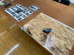 机の上に増えた写真の作品