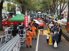 はたらくくるまinけやき並木の写真