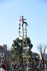 画像　睦消防組によるはしご乗りの実演