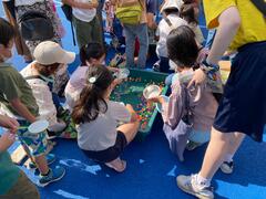 画像　スーパーボールすくい