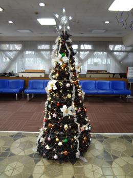 画像　クリスマスツリーの写真