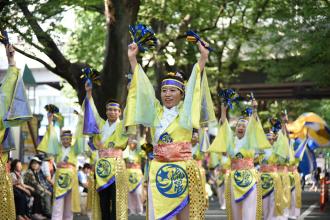 画像　流し踊りの様子4