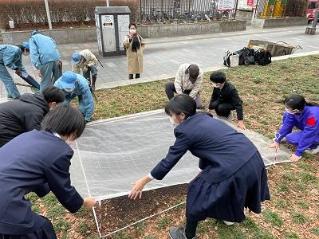 画像　最後に防護ネットをかけます