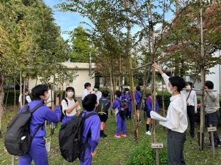 画像　農場見学（講師役の農高生と学ぶ一中生）