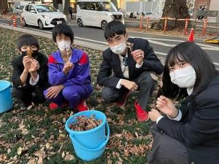 画像　昨秋の古木の下での種ひろい（農高生と一中生）