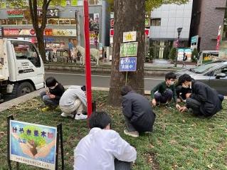 画像　昨秋の古木の下での種ひろい（農高生と一小生）