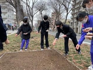 画像　種をまく府中第一中学校の皆さん