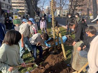 画像　腐葉土は並木の落ち葉で農場で作ったものです