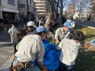 画像　苗木をケヤキ並木の植栽帯に上げます