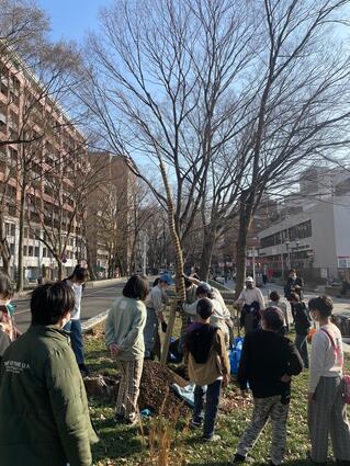 画像　苗木の位置を調整します（南側の植樹地点）