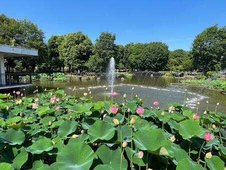 画像　「知里の曙」（ちりのあけぼの）と噴水