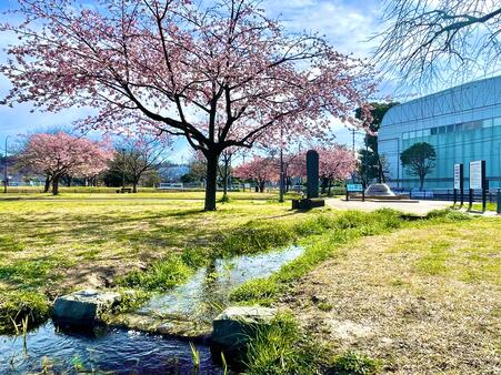 画像　「二ケ村用水」の流れを復元したせせらぎの風景（広場西側）