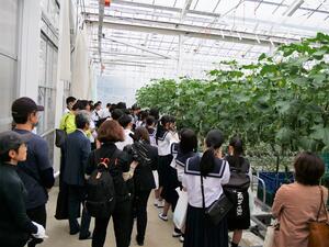 見学中の画像