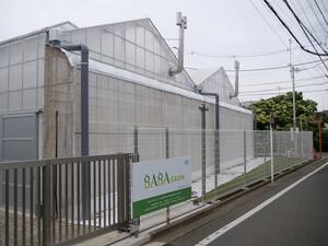 BABA FARMの画像