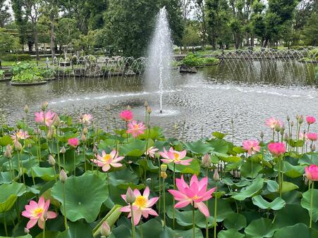 画像　「知里の曙」（ちりのあけぼの）と噴水