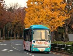 ���イ�o�X�̉摜