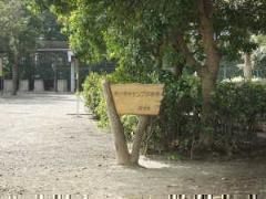 摜@NLvP